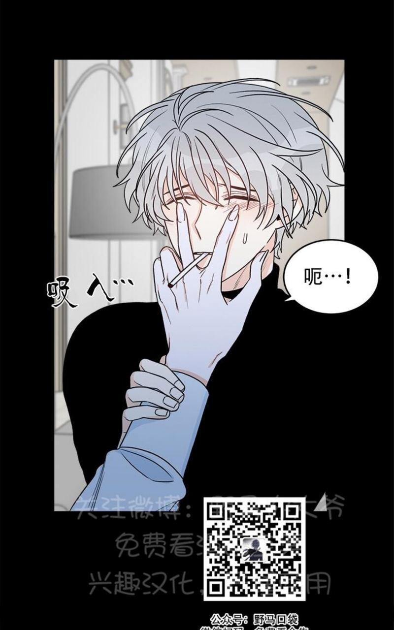 逐龙/追龙[耽美]韩漫全集-第10话无删减无遮挡章节图片 