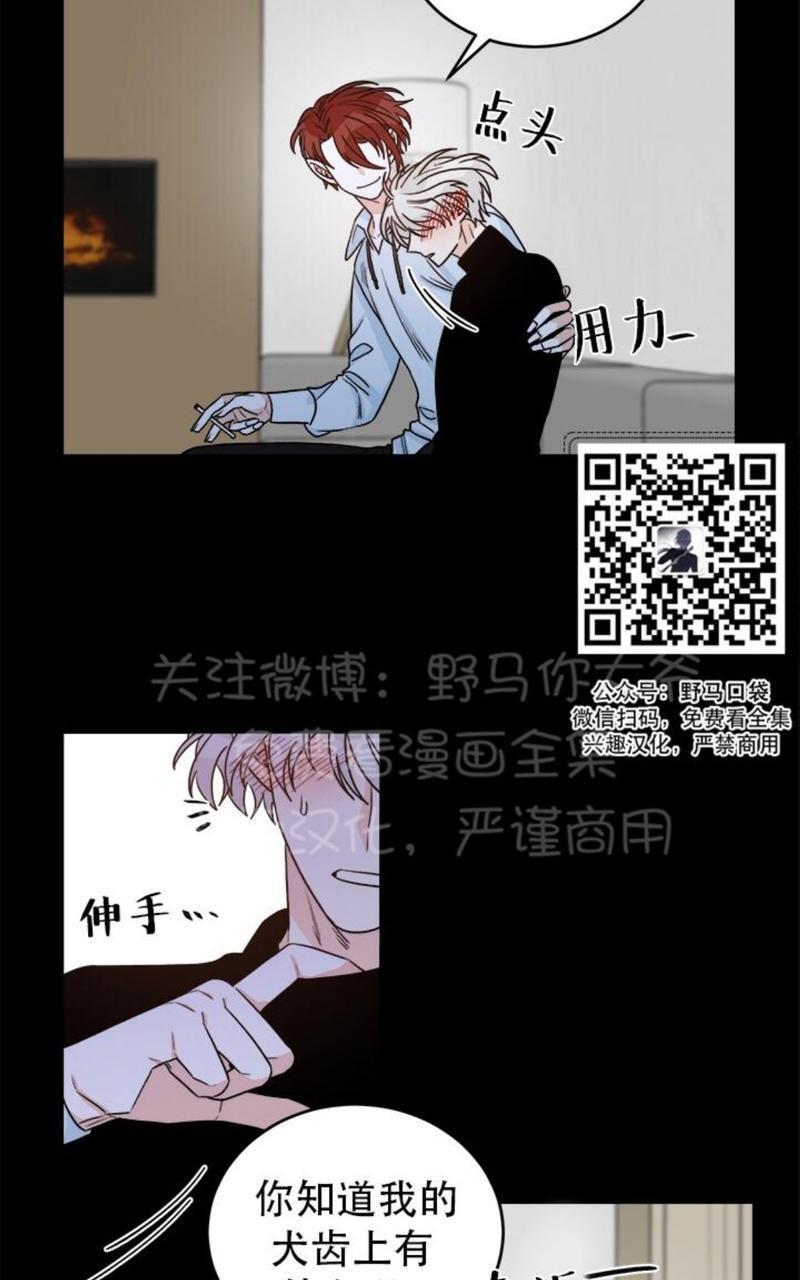 逐龙/追龙[耽美]韩漫全集-第10话无删减无遮挡章节图片 