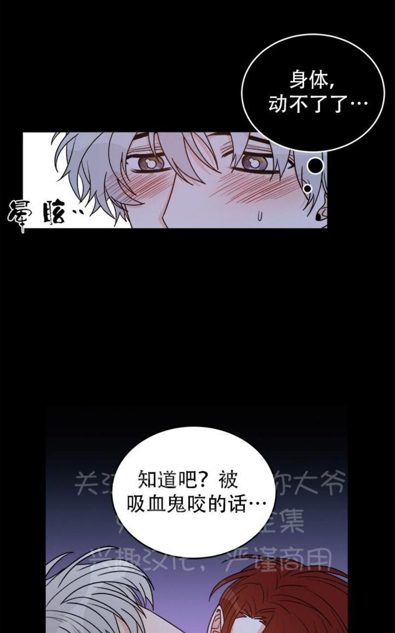 逐龙/追龙[耽美]韩漫全集-第10话无删减无遮挡章节图片 