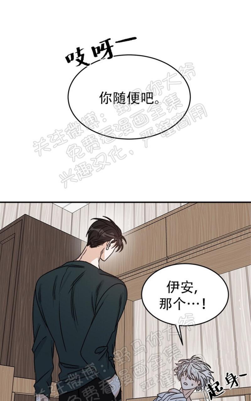 逐龙/追龙[耽美]韩漫全集-第11话无删减无遮挡章节图片 