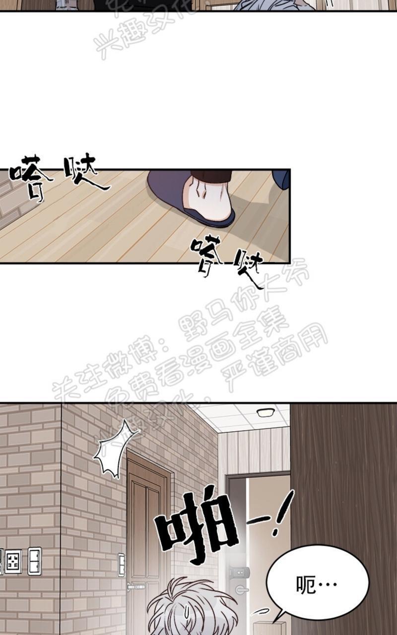 逐龙/追龙[耽美]韩漫全集-第11话无删减无遮挡章节图片 