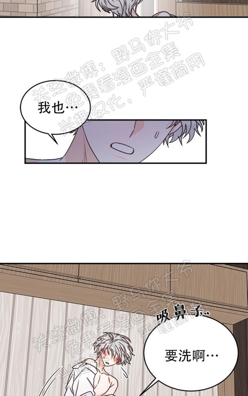 逐龙/追龙[耽美]韩漫全集-第11话无删减无遮挡章节图片 