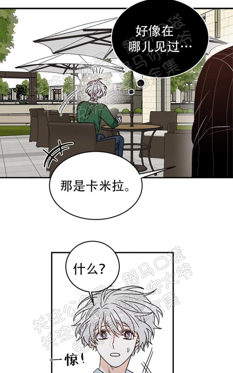 逐龙/追龙[耽美]韩漫全集-第11话无删减无遮挡章节图片 