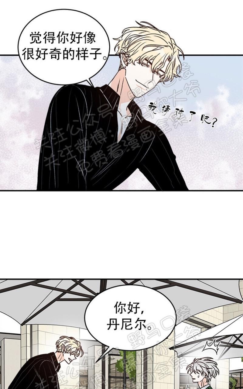 逐龙/追龙[耽美]韩漫全集-第11话无删减无遮挡章节图片 