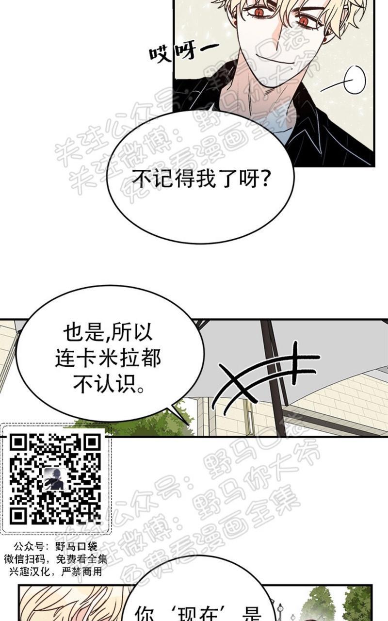 逐龙/追龙[耽美]韩漫全集-第11话无删减无遮挡章节图片 