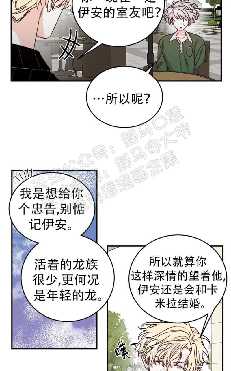 逐龙/追龙[耽美]韩漫全集-第11话无删减无遮挡章节图片 
