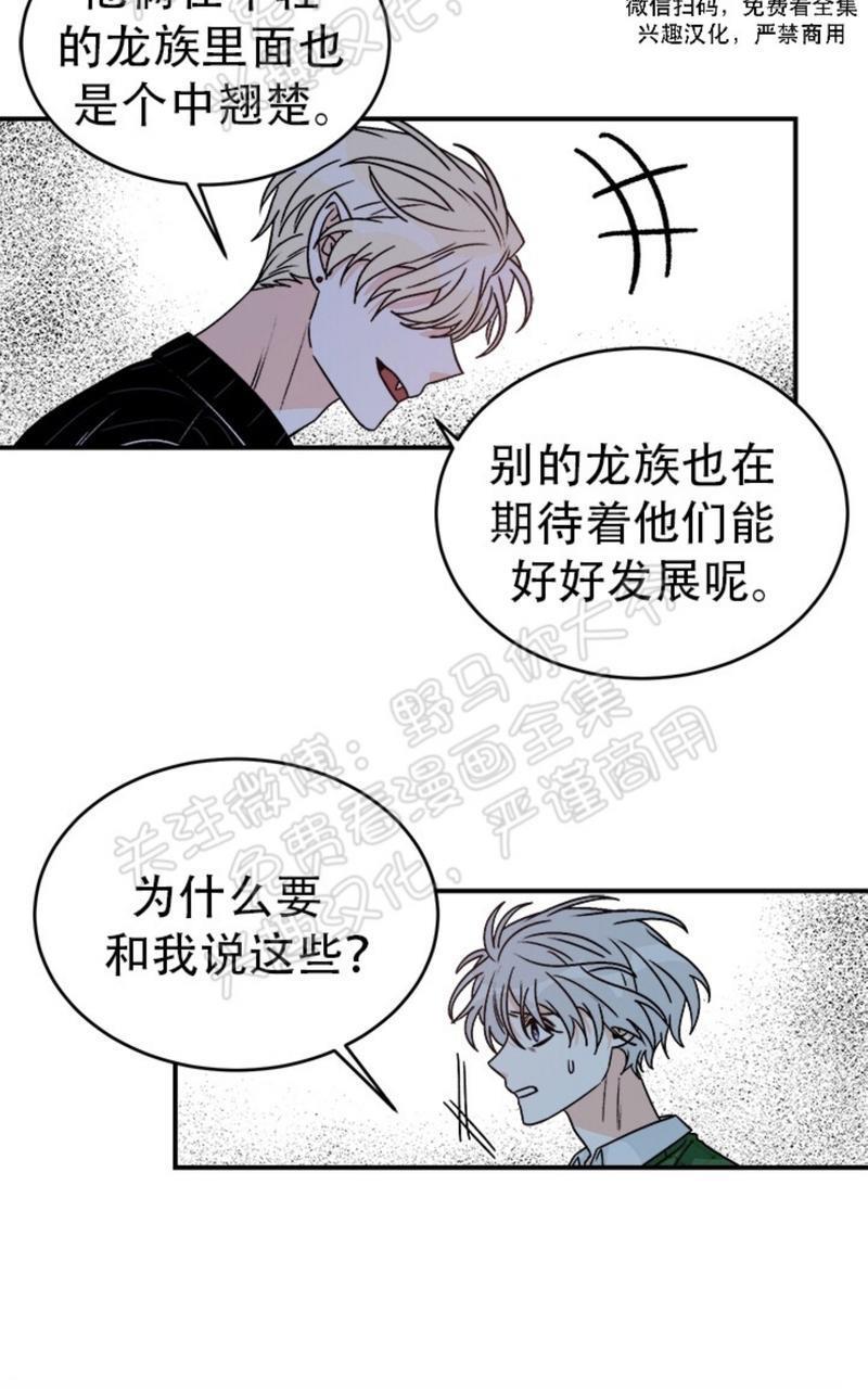 逐龙/追龙[耽美]韩漫全集-第11话无删减无遮挡章节图片 