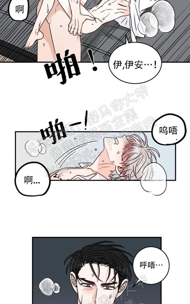 逐龙/追龙[耽美]韩漫全集-第11话无删减无遮挡章节图片 