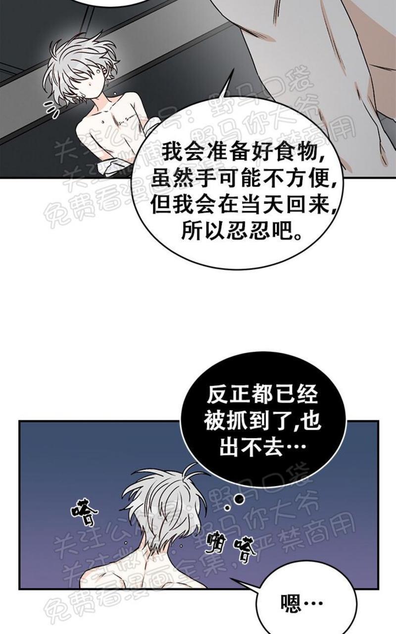 逐龙/追龙[耽美]韩漫全集-第12话无删减无遮挡章节图片 