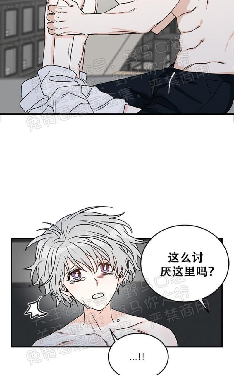 逐龙/追龙[耽美]韩漫全集-第12话无删减无遮挡章节图片 