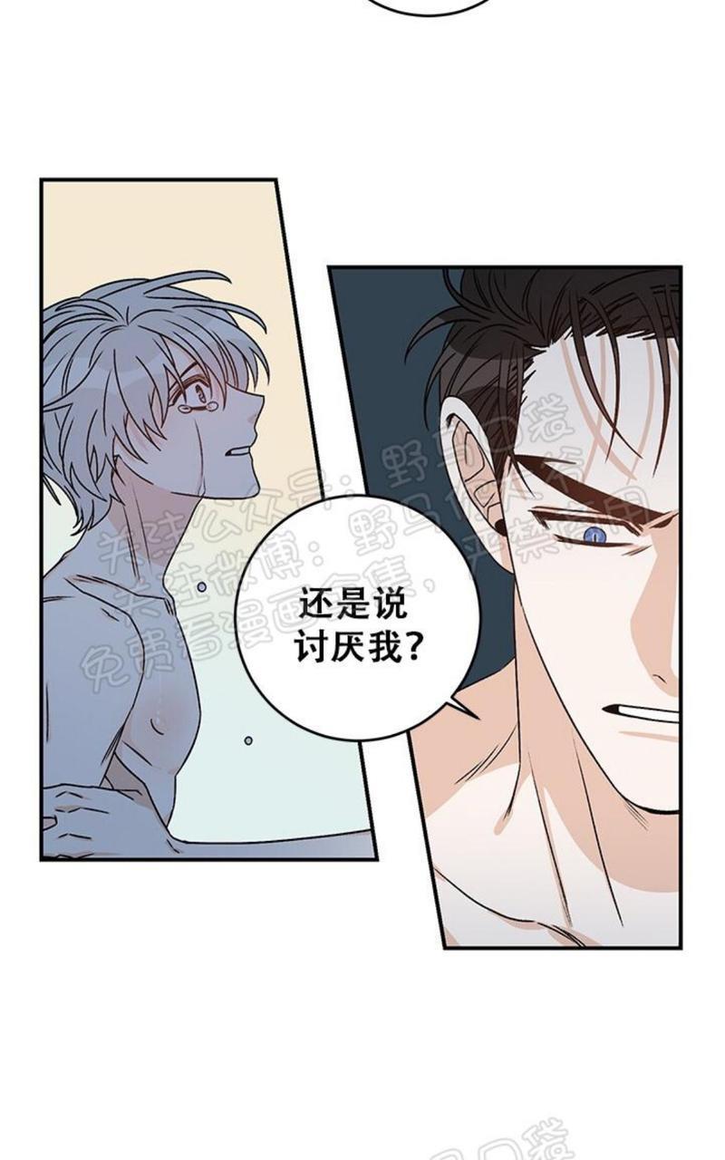 逐龙/追龙[耽美]韩漫全集-第12话无删减无遮挡章节图片 