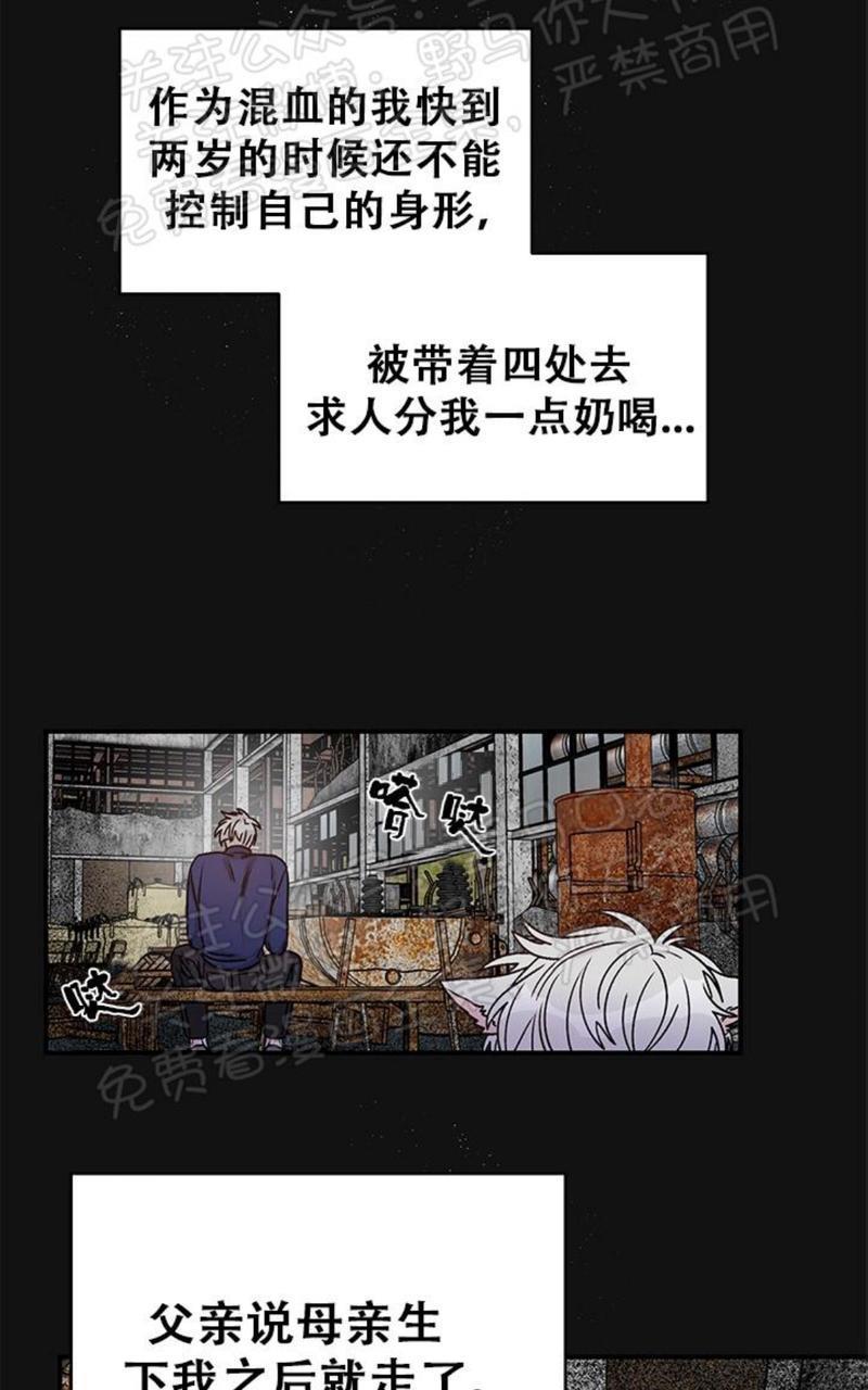 逐龙/追龙[耽美]韩漫全集-第12话无删减无遮挡章节图片 
