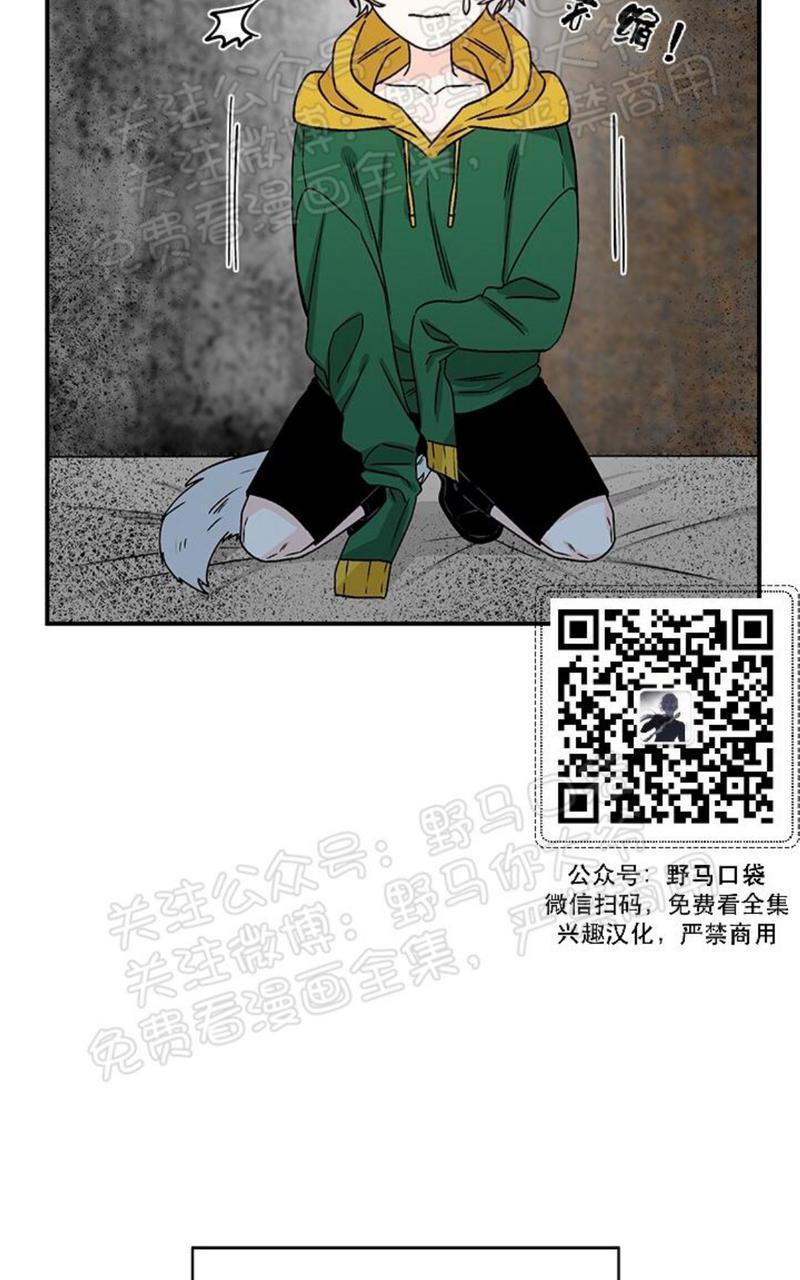 逐龙/追龙[耽美]韩漫全集-第12话无删减无遮挡章节图片 