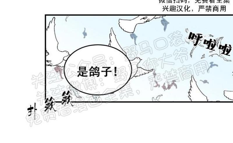 逐龙/追龙[耽美]韩漫全集-第12话无删减无遮挡章节图片 