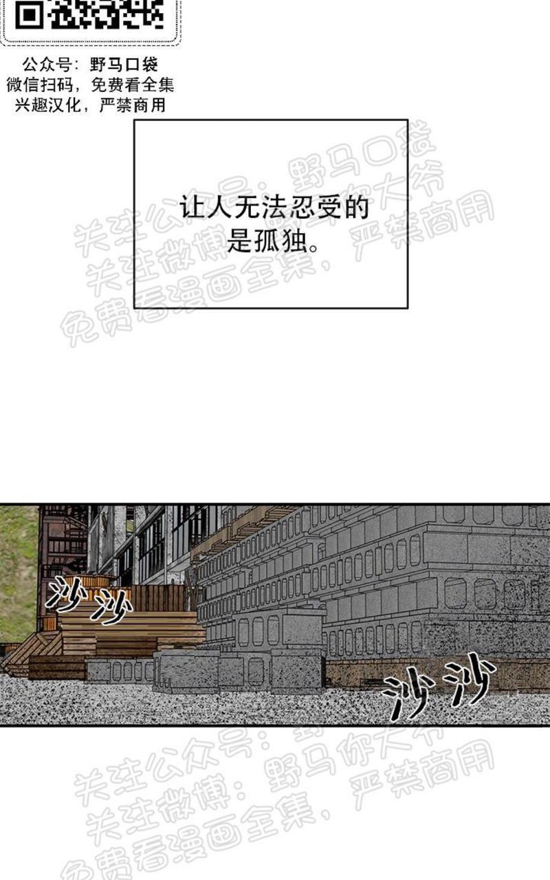 逐龙/追龙[耽美]韩漫全集-第12话无删减无遮挡章节图片 