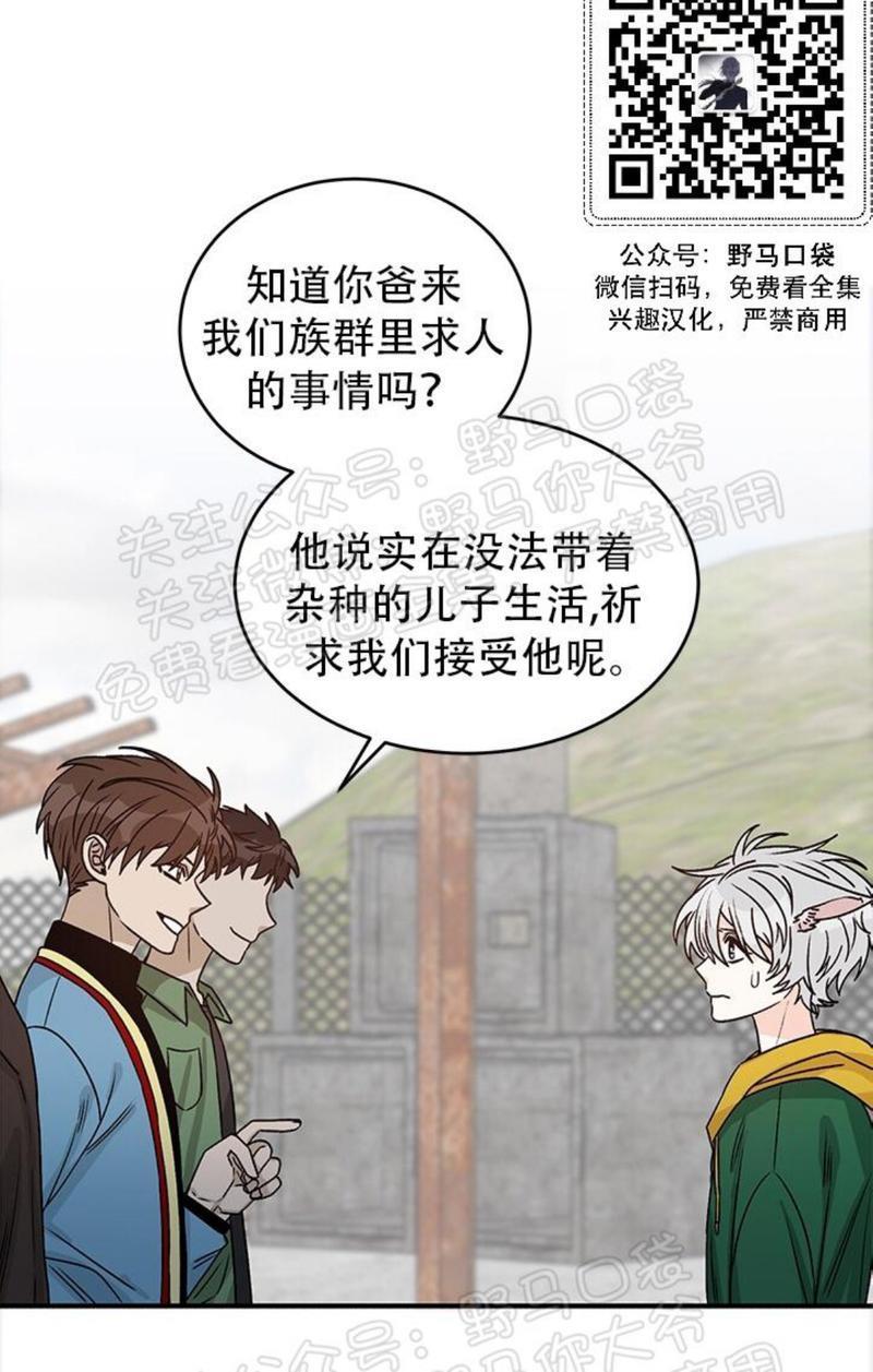 逐龙/追龙[耽美]韩漫全集-第12话无删减无遮挡章节图片 