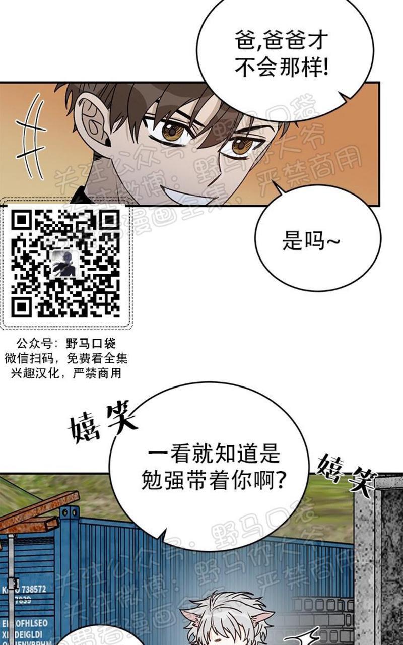 逐龙/追龙[耽美]韩漫全集-第12话无删减无遮挡章节图片 