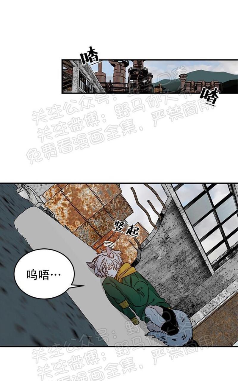 逐龙/追龙[耽美]韩漫全集-第13话无删减无遮挡章节图片 