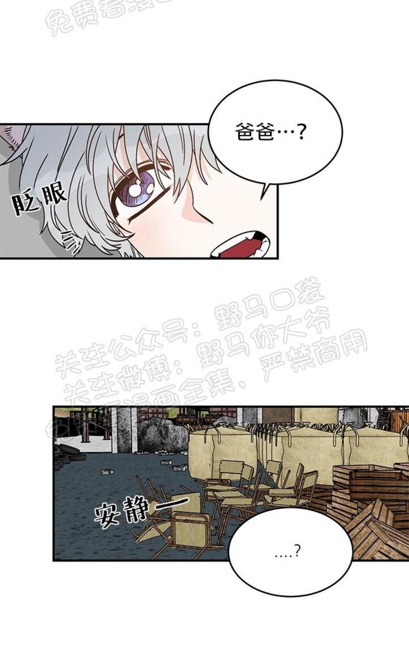 逐龙/追龙[耽美]韩漫全集-第13话无删减无遮挡章节图片 