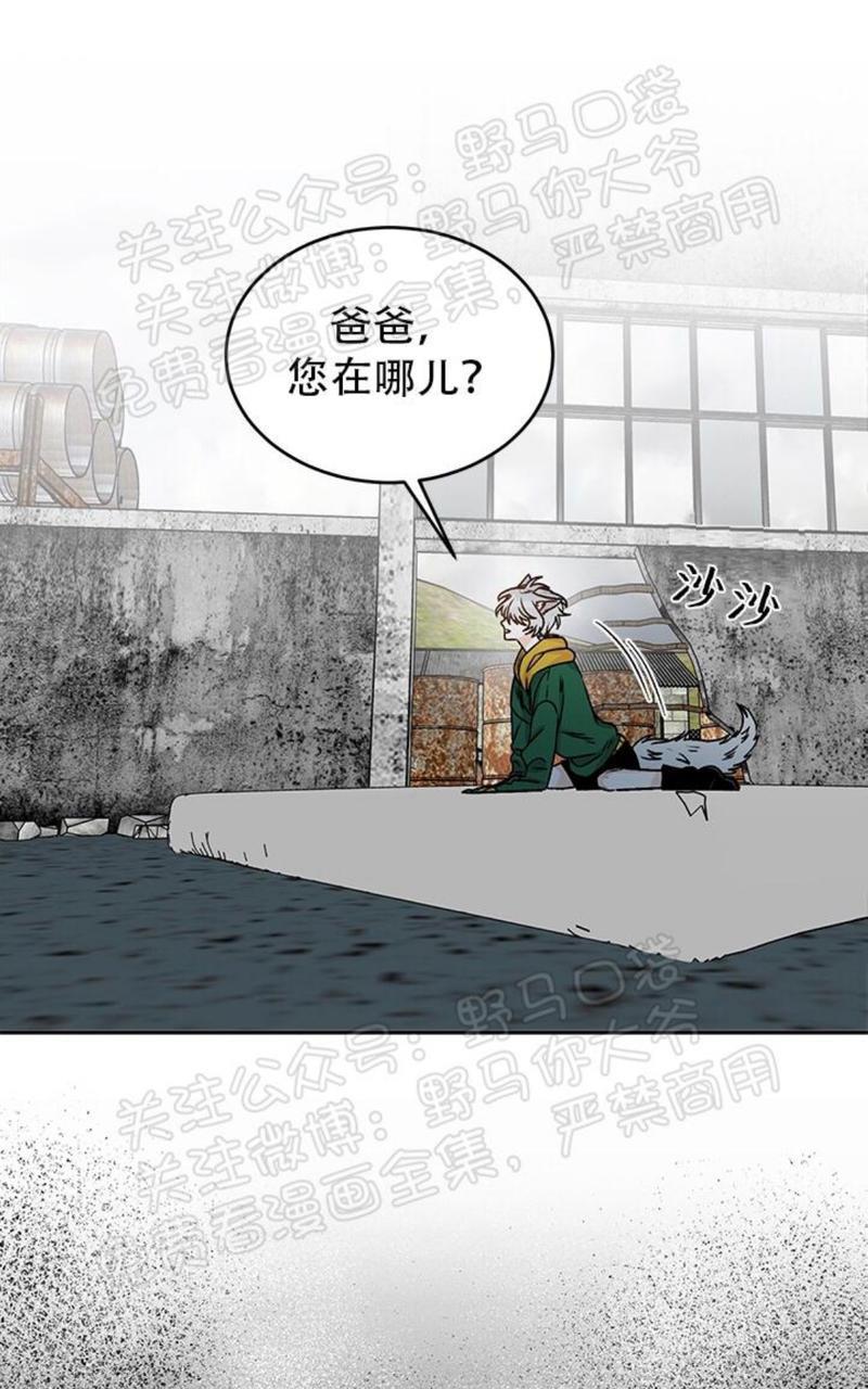 逐龙/追龙[耽美]韩漫全集-第13话无删减无遮挡章节图片 