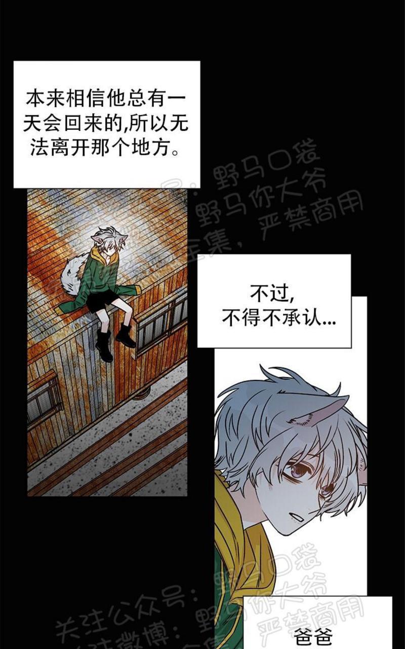 逐龙/追龙[耽美]韩漫全集-第13话无删减无遮挡章节图片 