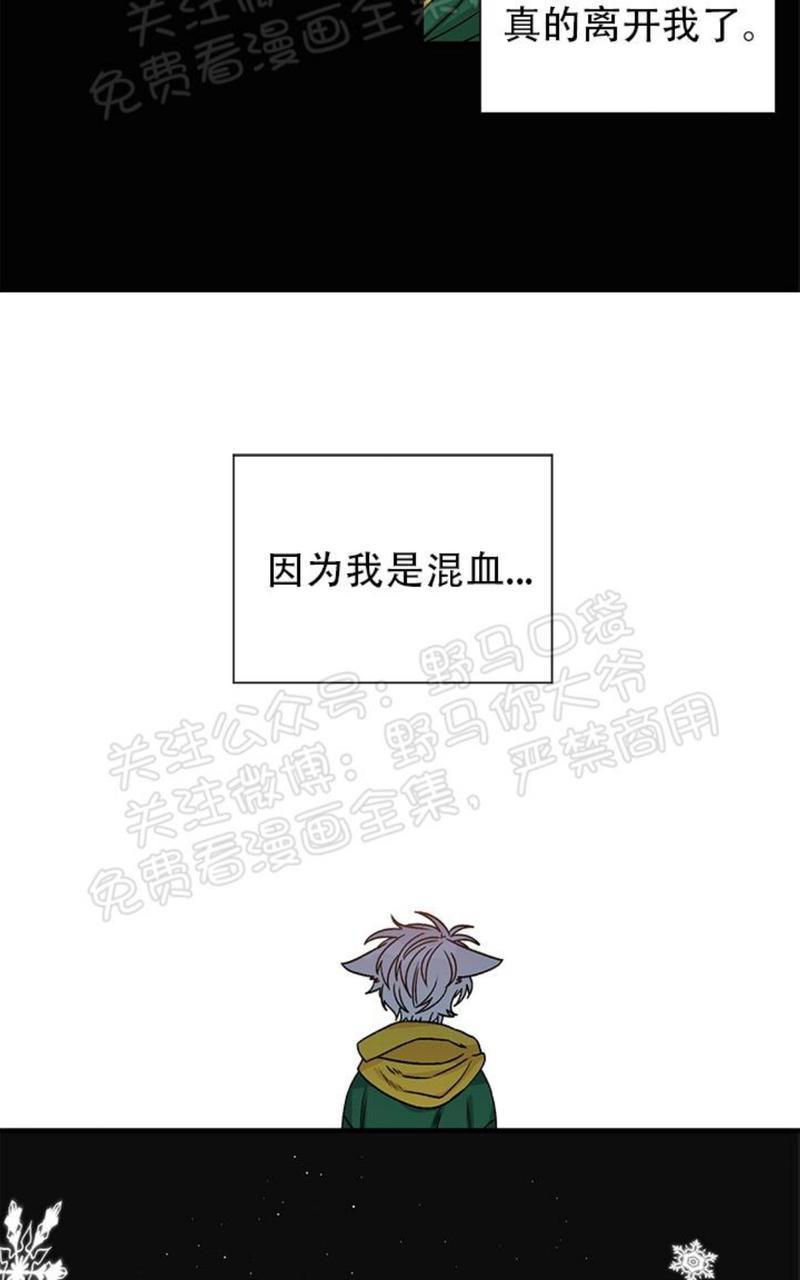 逐龙/追龙[耽美]韩漫全集-第13话无删减无遮挡章节图片 