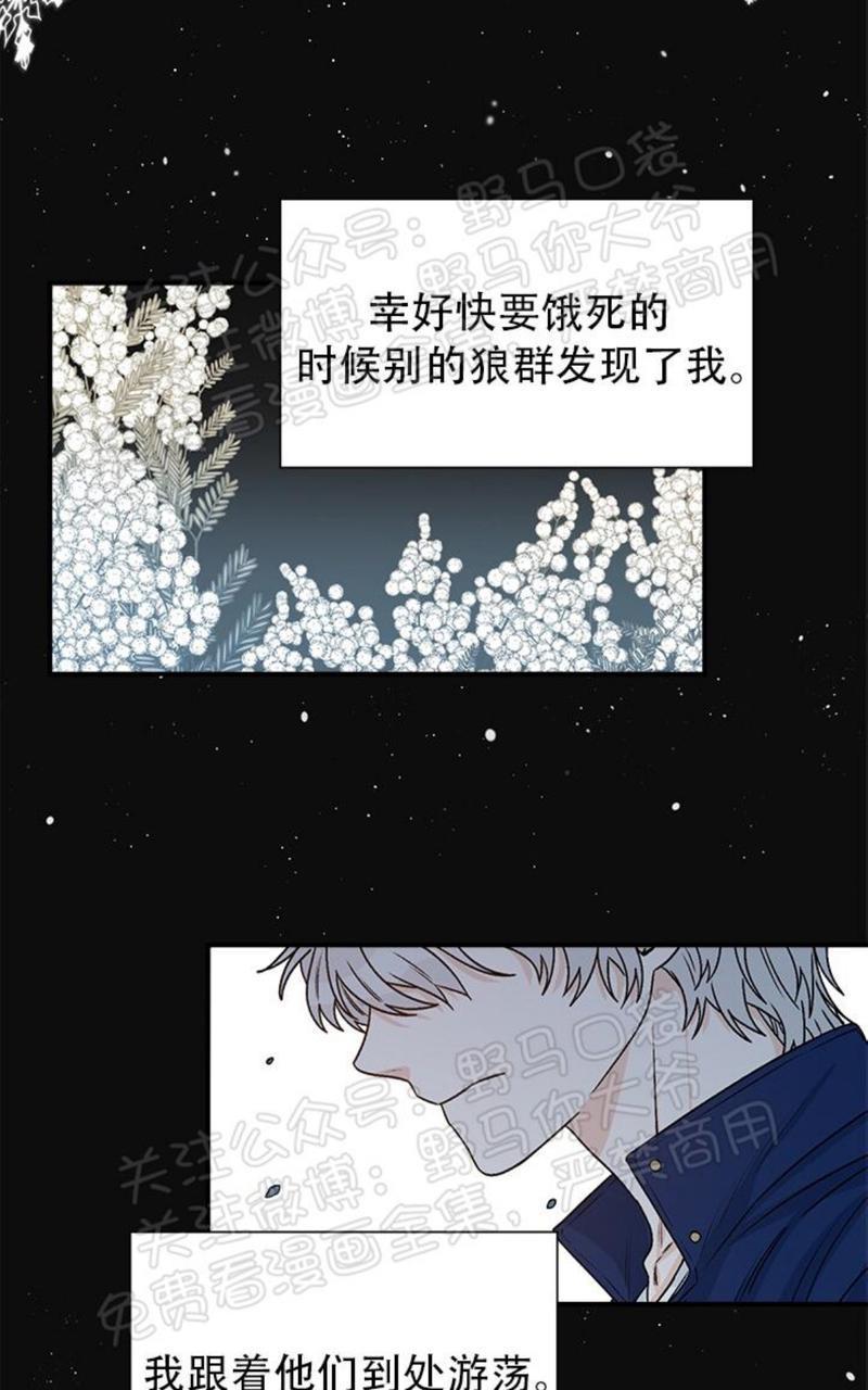 逐龙/追龙[耽美]韩漫全集-第13话无删减无遮挡章节图片 