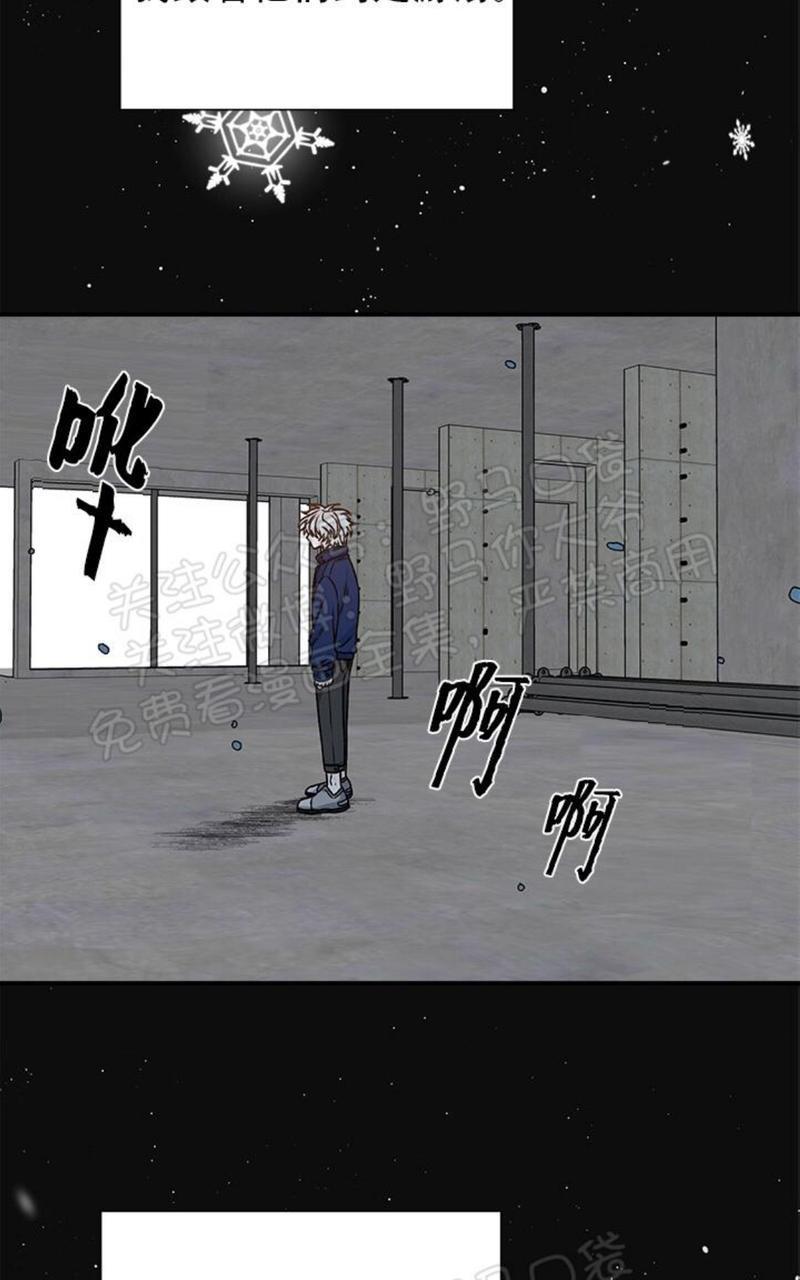 逐龙/追龙[耽美]韩漫全集-第13话无删减无遮挡章节图片 