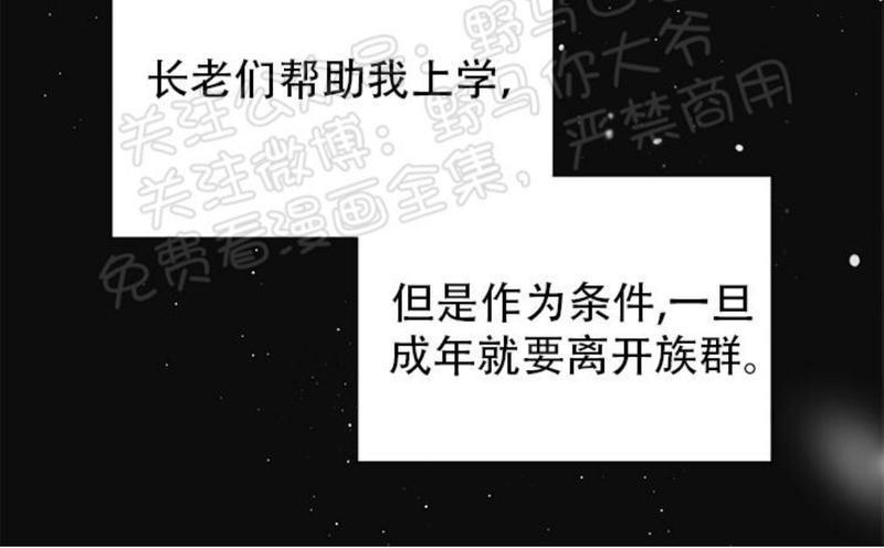 逐龙/追龙[耽美]韩漫全集-第13话无删减无遮挡章节图片 