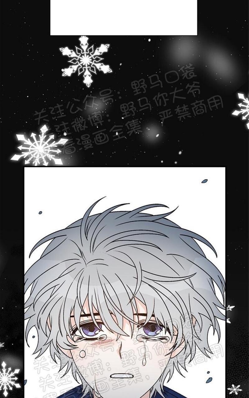 逐龙/追龙[耽美]韩漫全集-第13话无删减无遮挡章节图片 