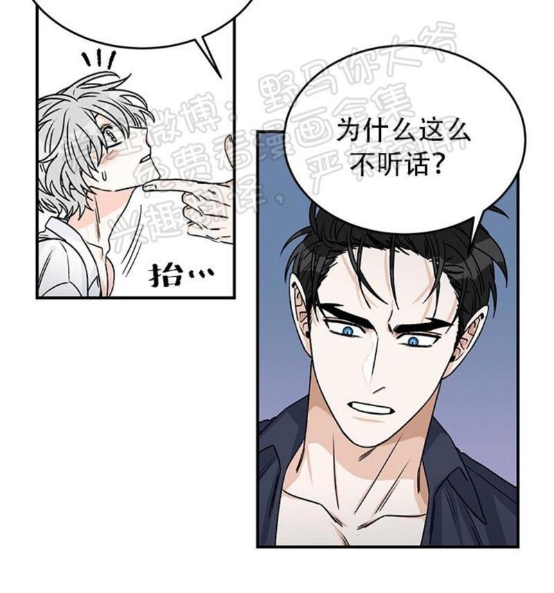 逐龙/追龙[耽美]韩漫全集-第13话无删减无遮挡章节图片 