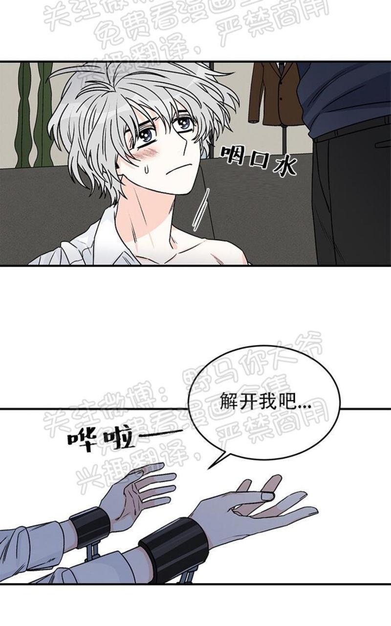 逐龙/追龙[耽美]韩漫全集-第13话无删减无遮挡章节图片 