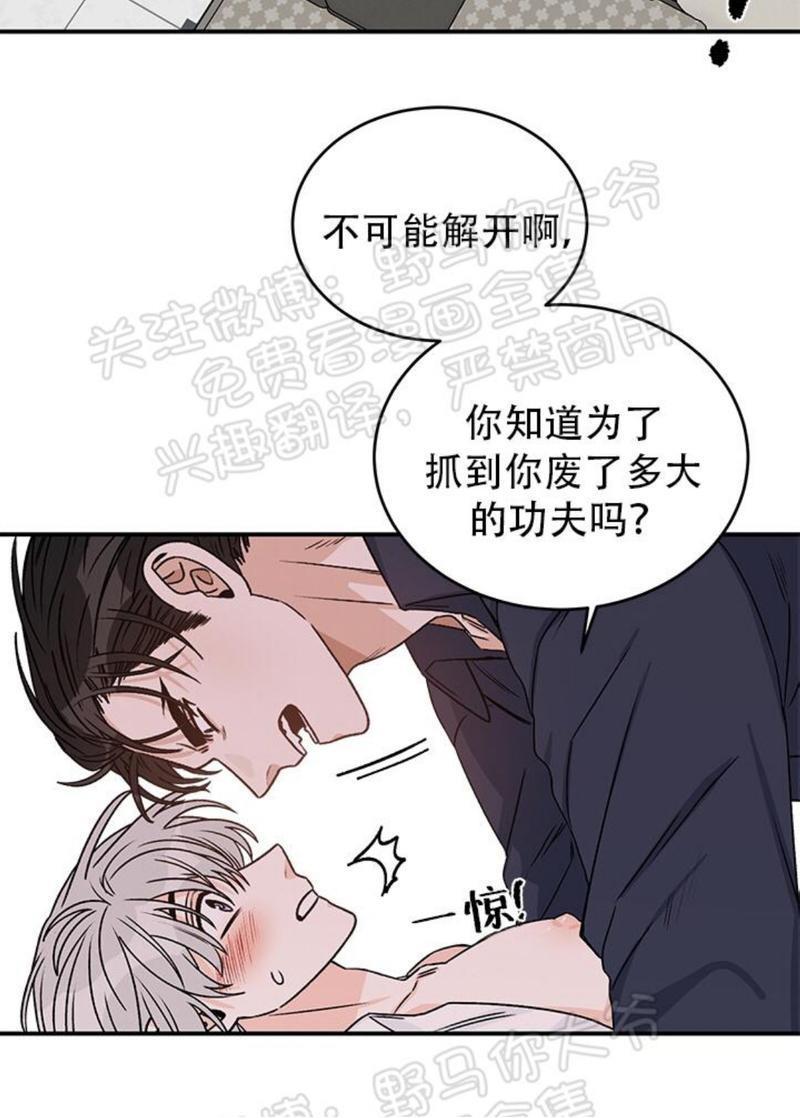 逐龙/追龙[耽美]韩漫全集-第13话无删减无遮挡章节图片 