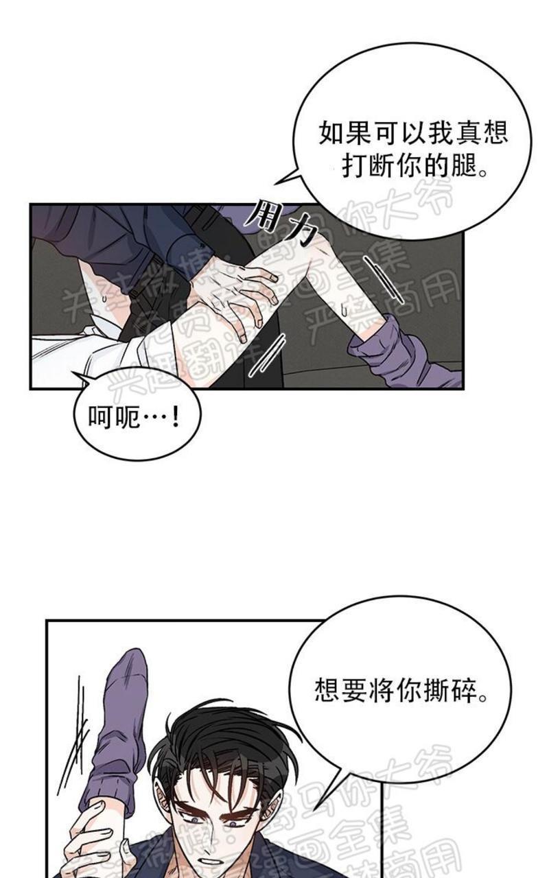 逐龙/追龙[耽美]韩漫全集-第13话无删减无遮挡章节图片 