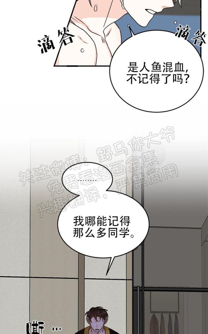 逐龙/追龙[耽美]韩漫全集-第14话无删减无遮挡章节图片 