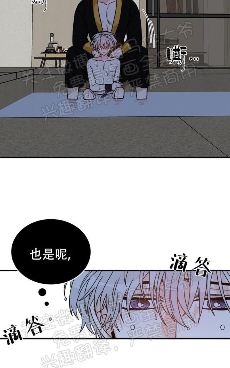 逐龙/追龙[耽美]韩漫全集-第14话无删减无遮挡章节图片 
