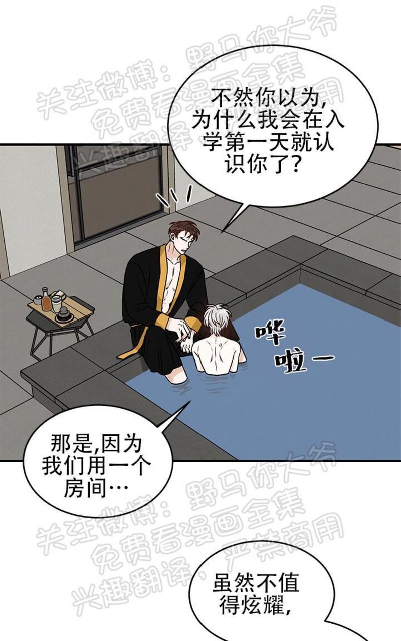 逐龙/追龙[耽美]韩漫全集-第14话无删减无遮挡章节图片 