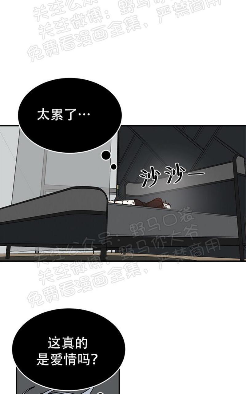 逐龙/追龙[耽美]韩漫全集-第15话无删减无遮挡章节图片 