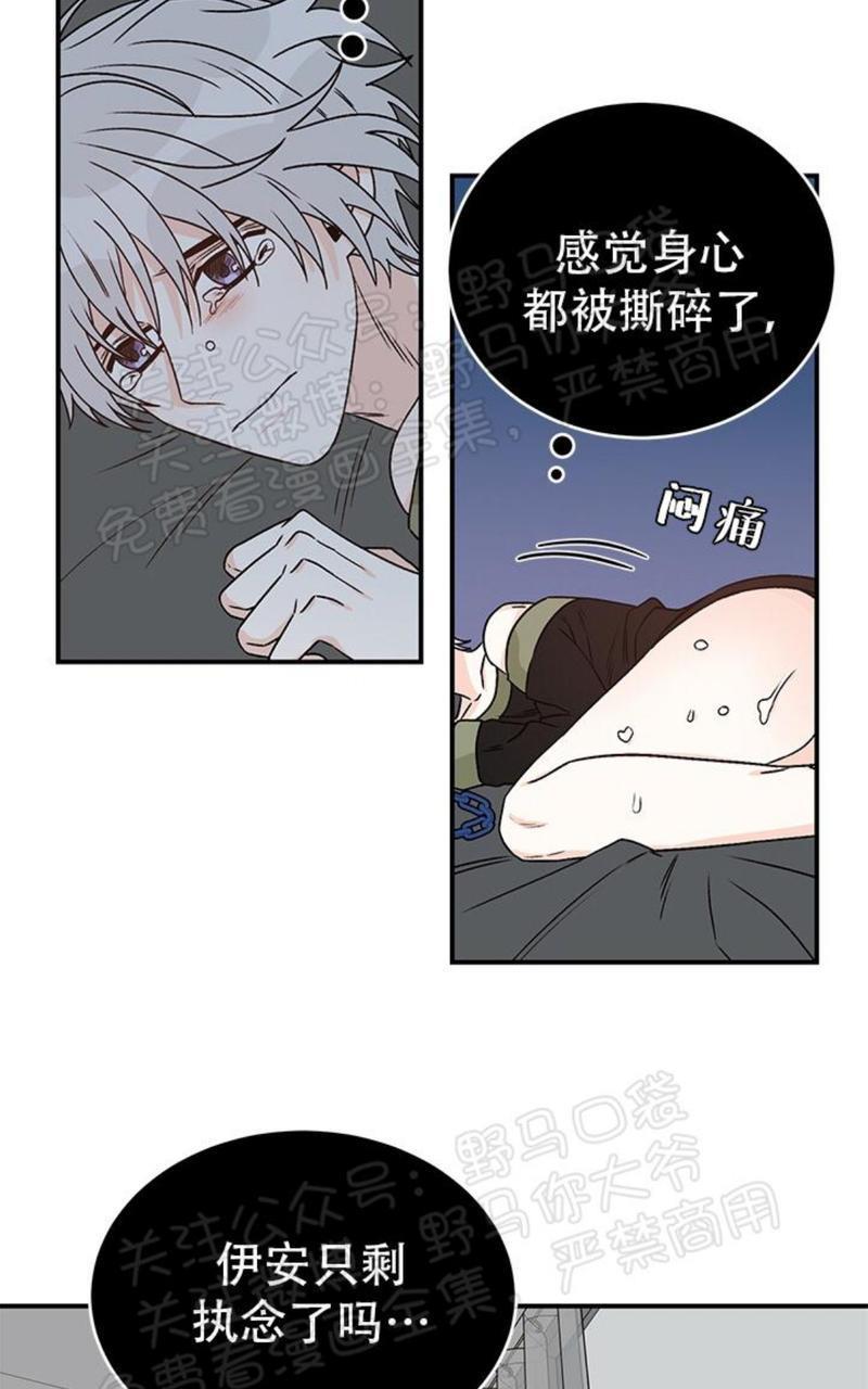 逐龙/追龙[耽美]韩漫全集-第15话无删减无遮挡章节图片 