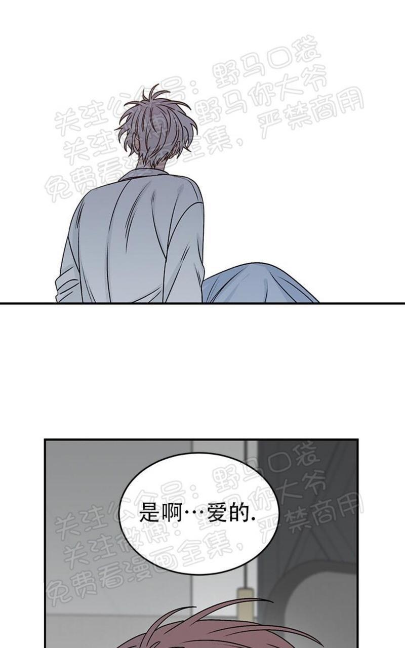 逐龙/追龙[耽美]韩漫全集-第15话无删减无遮挡章节图片 