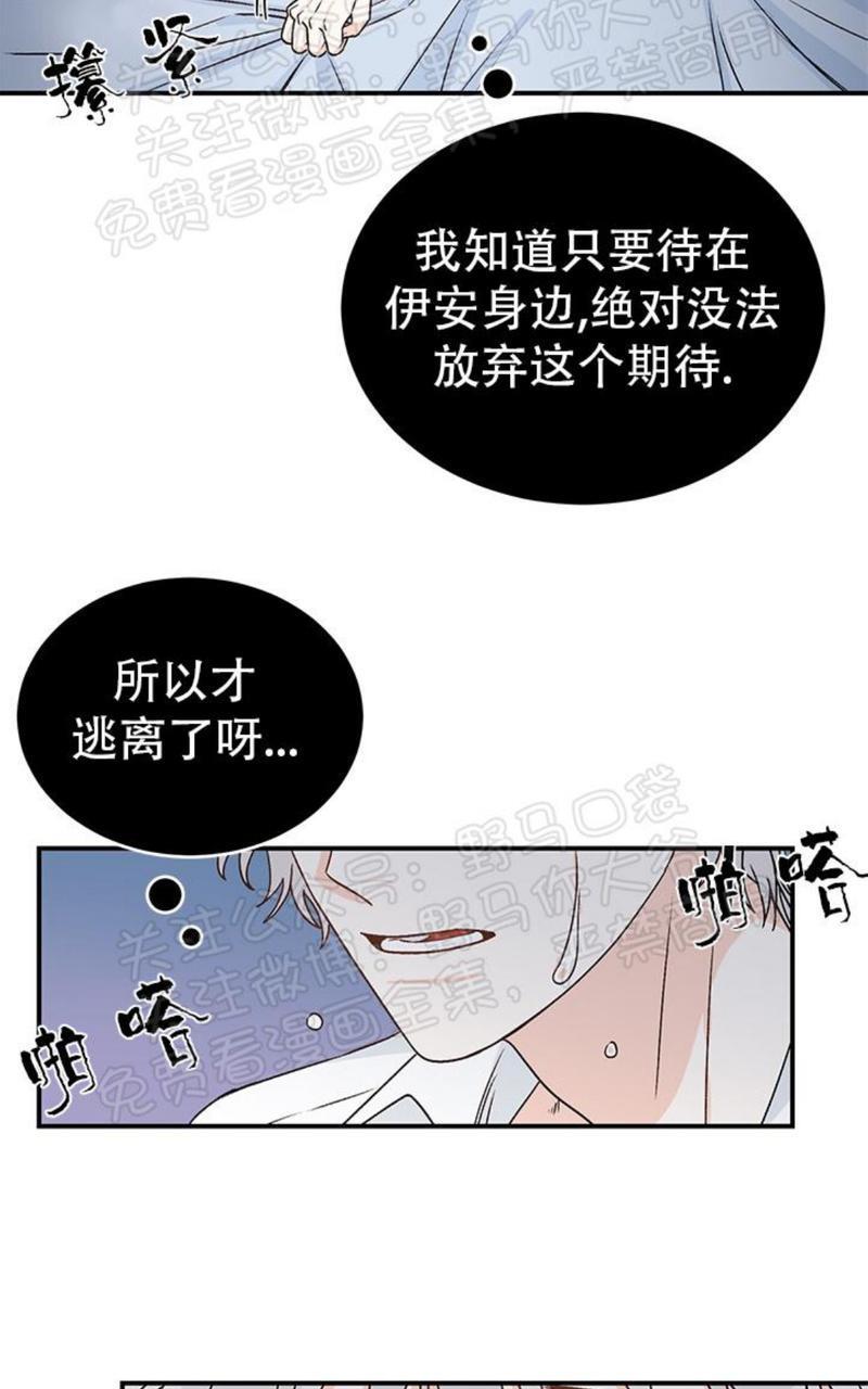 逐龙/追龙[耽美]韩漫全集-第15话无删减无遮挡章节图片 