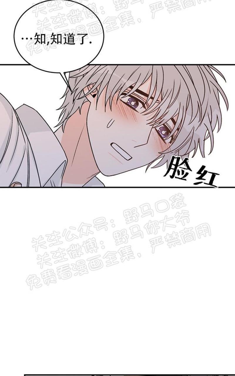 逐龙/追龙[耽美]韩漫全集-第15话无删减无遮挡章节图片 