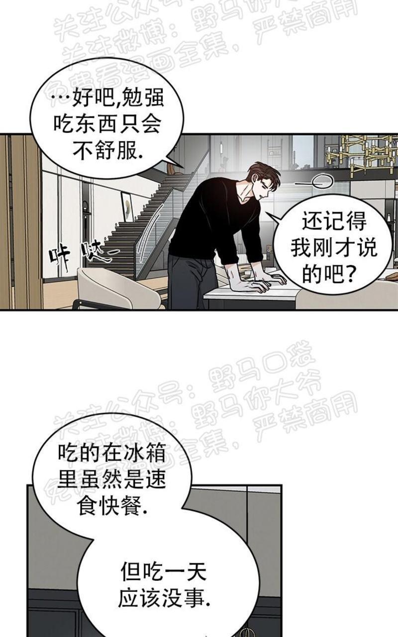 逐龙/追龙[耽美]韩漫全集-第15话无删减无遮挡章节图片 
