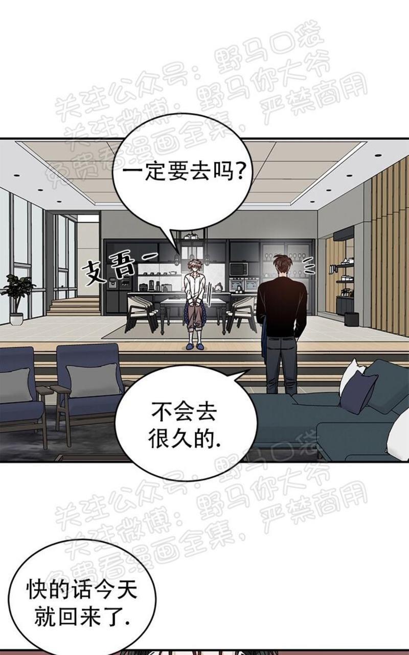 逐龙/追龙[耽美]韩漫全集-第15话无删减无遮挡章节图片 
