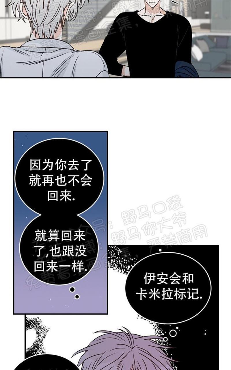 逐龙/追龙[耽美]韩漫全集-第15话无删减无遮挡章节图片 