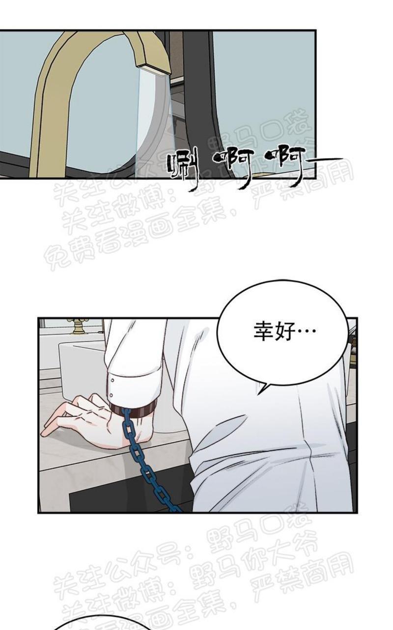 逐龙/追龙[耽美]韩漫全集-第16话无删减无遮挡章节图片 