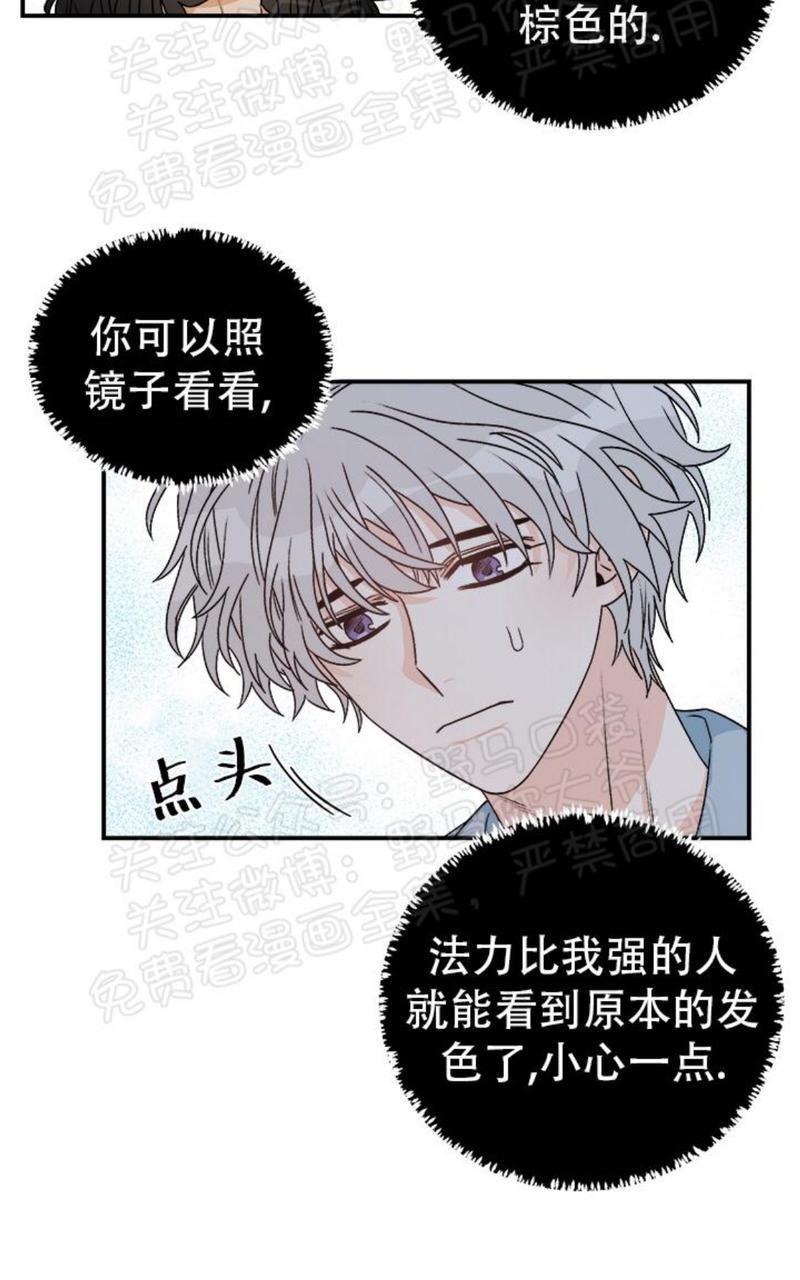逐龙/追龙[耽美]韩漫全集-第16话无删减无遮挡章节图片 