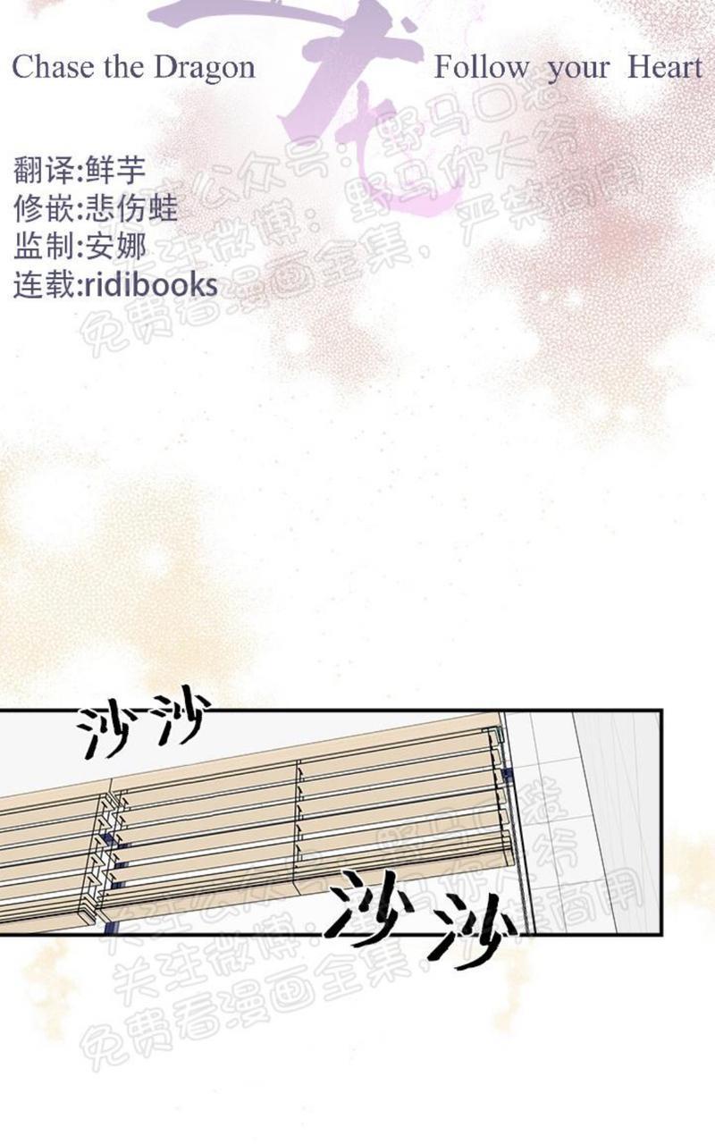 逐龙/追龙[耽美]韩漫全集-第16话无删减无遮挡章节图片 