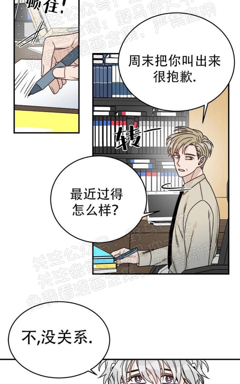逐龙/追龙[耽美]韩漫全集-第16话无删减无遮挡章节图片 