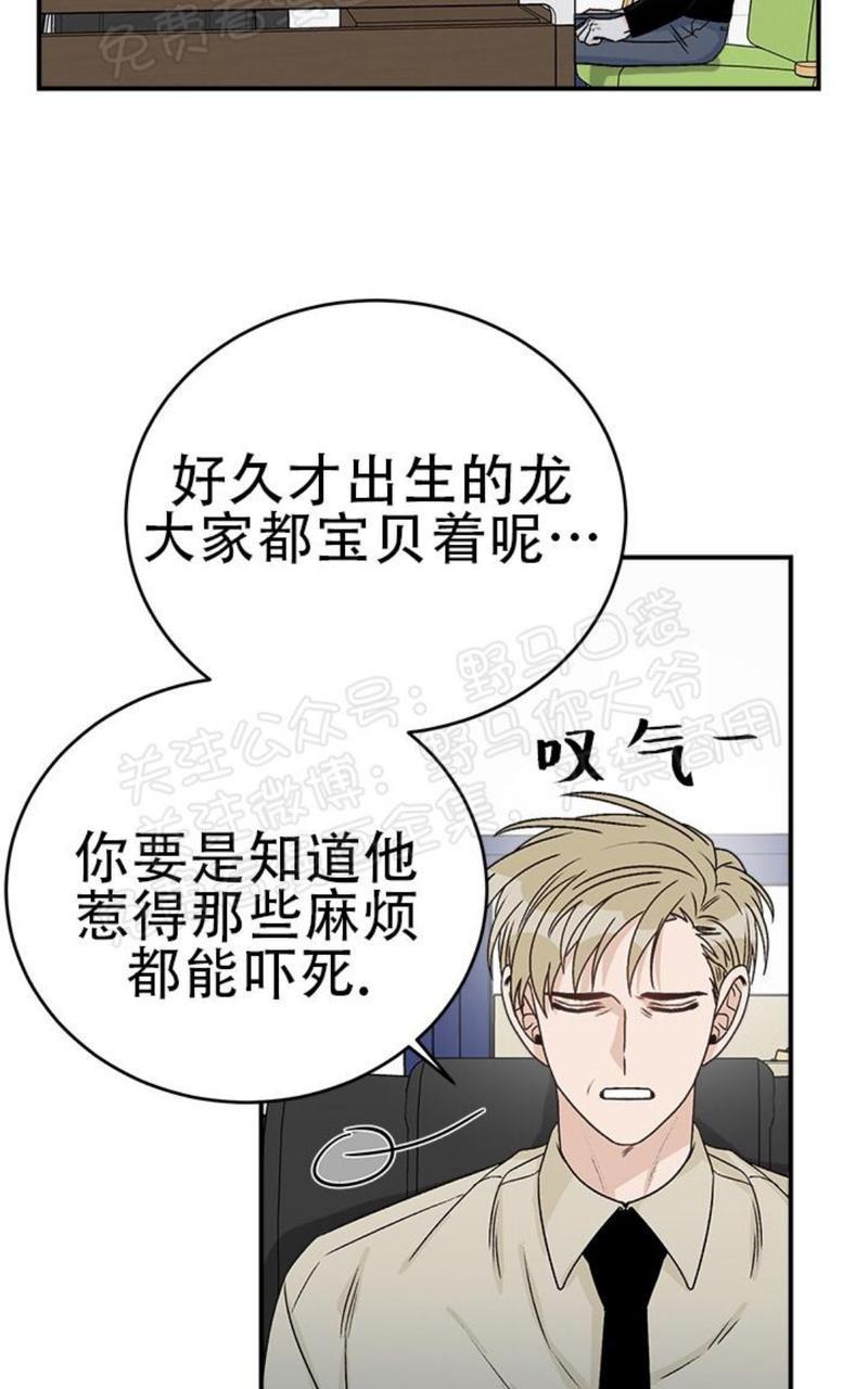 逐龙/追龙[耽美]韩漫全集-第16话无删减无遮挡章节图片 